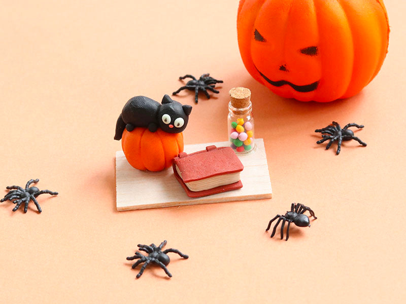 Atelier modelage - Chat et grimoire