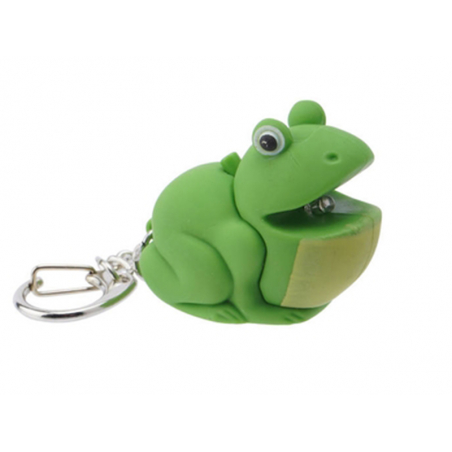 Acheter Porte-clés / Torche grenouille - 5,99 € en ligne sur La Petite Epicerie - Loisirs créatifs