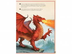 Acheter Le livre extraordinaire des dragons - Little Urban - 12,00 € en ligne sur La Petite Epicerie - Loisirs créatifs
