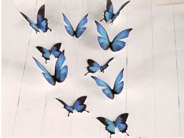 Punaises, 50 Pièces Couleur 3D Épingles Papillon Punaises de