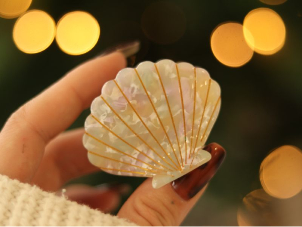 Pince à cheveux Coquillage Multicolore