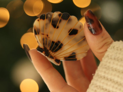 Pince à cheveux Coquillage Écaille