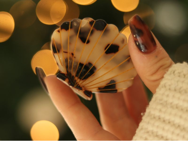 Pince à cheveux Coquillage Écaille