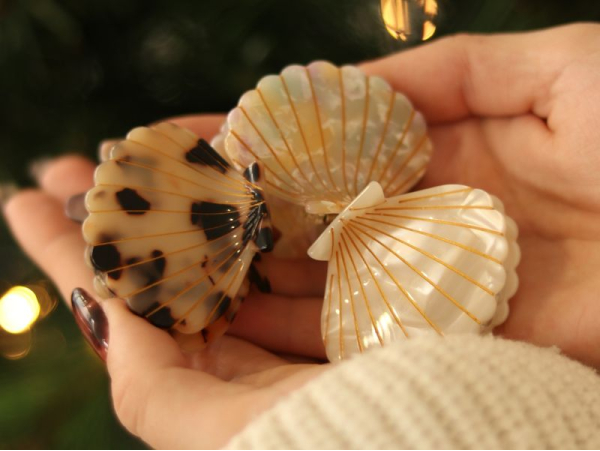 Pince à cheveux Coquillage Écaille