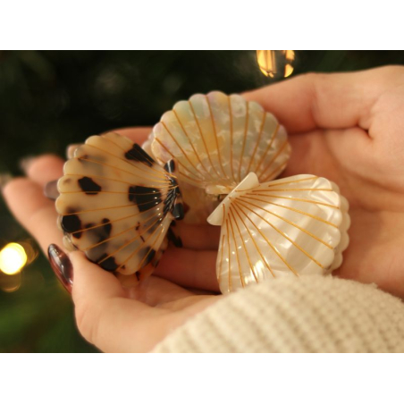 Pince à cheveux Coquillage Écaille