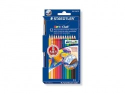 Acheter 12 Crayons de couleur - 3,80 € en ligne sur La Petite Epicerie - Loisirs créatifs