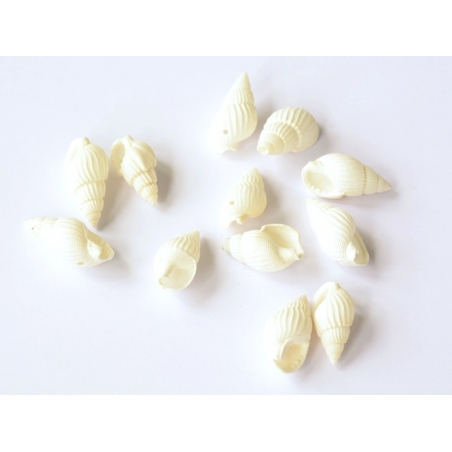 Acheter 10 perles Coquillage spirale - 1,39 € en ligne sur La Petite Epicerie - Loisirs créatifs