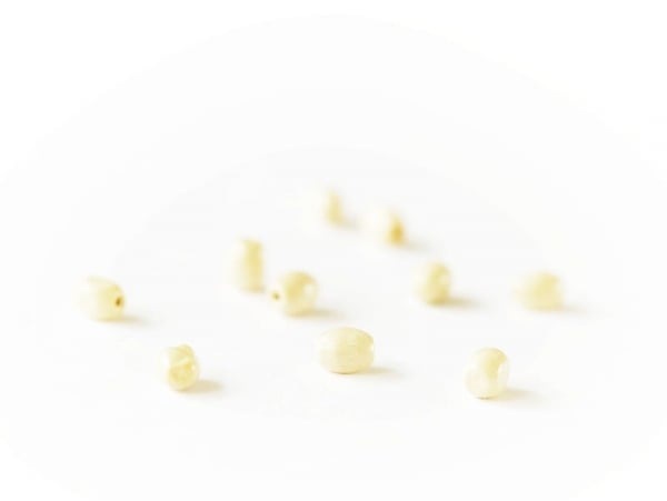 Acheter 10 perles en bois - Ovale 6 mm - 1,20 € en ligne sur La Petite Epicerie - Loisirs créatifs