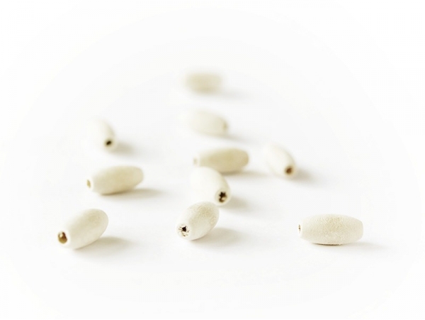 Acheter 10 perles en bois - Ovale 20 mm - 0,99 € en ligne sur La Petite Epicerie - Loisirs créatifs