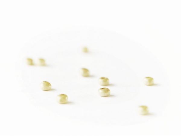 Acheter 10 perles en bois - Rond plat 4 mm - 0,29 € en ligne sur La Petite Epicerie - Loisirs créatifs