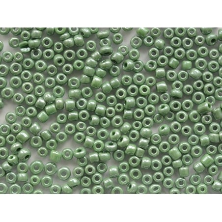Acheter Tube de 350 perles de rocailles opaques nacrées - vert sapin - 0,99 € en ligne sur La Petite Epicerie - Loisirs créatifs
