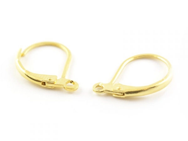 1 pair of lever back earrings - golden 1 pair of lever back earrings - golden