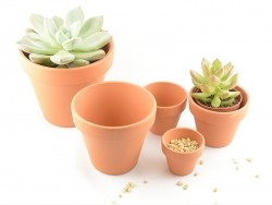Acheter Pot pour plante - 4,5 cm - 1,09 € en ligne sur La Petite Epicerie - Loisirs créatifs