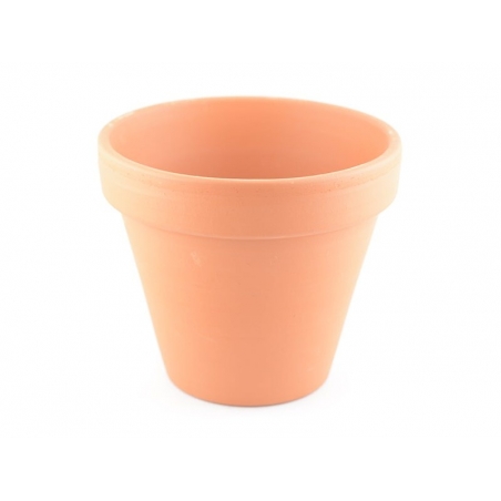 Acheter Pot pour plante - 10 cm - 1,49 € en ligne sur La Petite Epicerie - Loisirs créatifs