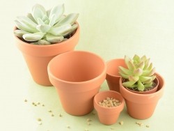 Acheter Pot pour plante - 10 cm - 1,49 € en ligne sur La Petite Epicerie - Loisirs créatifs