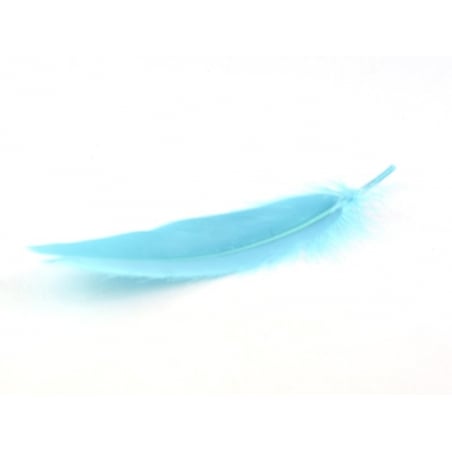 Acheter Plume turquoise - 0,29 € en ligne sur La Petite Epicerie - Loisirs créatifs