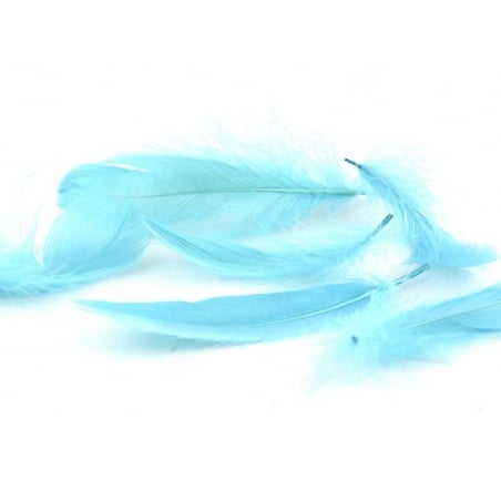 Acheter Plume turquoise - 0,29 € en ligne sur La Petite Epicerie - Loisirs créatifs