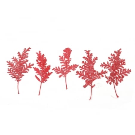 Acheter Planche de 10 feuilles pressées - rouge foncé - 3,79 € en ligne sur La Petite Epicerie - Loisirs créatifs