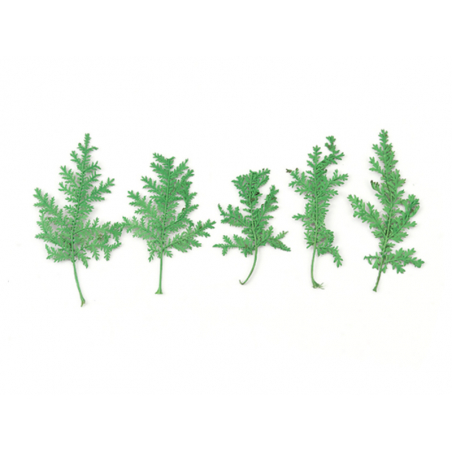Acheter Planche de 10 feuilles pressées - vert - 3,79 € en ligne sur La Petite Epicerie - Loisirs créatifs