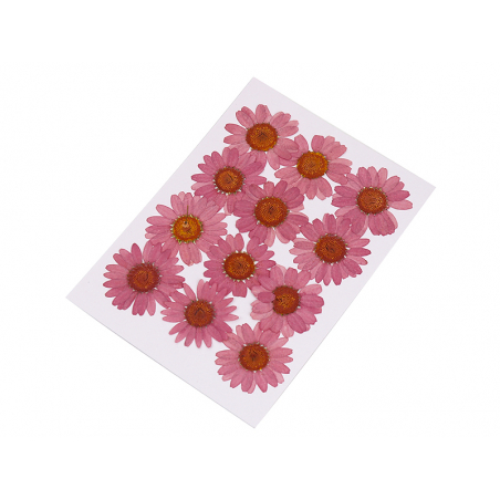 Acheter Planche de 12 chrysanthèmes pressés - vieux rose - 5,99 € en ligne sur La Petite Epicerie - Loisirs créatifs