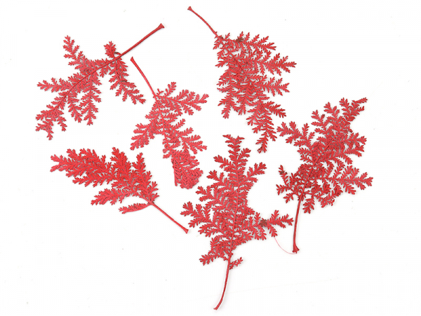 Acheter Planche de 10 feuilles pressées - rouge foncé - 3,79 € en ligne sur La Petite Epicerie - Loisirs créatifs