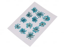 Acheter Planche de 12 fleurs pressées - bleu turquoise - 4,59 € en ligne sur La Petite Epicerie - Loisirs créatifs