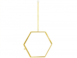 Acheter Cadre photo métal doré façon herbier à suspendre - hexagone - 9,46 € en ligne sur La Petite Epicerie - Loisirs créatifs