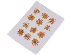 Acheter Planche de 12 fleurs pressées - orange - 4,59 € en ligne sur La Petite Epicerie - Loisirs créatifs
