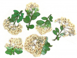 Acheter Planche de 6 fleurs - blanc - 4,59 € en ligne sur La Petite Epicerie - Loisirs créatifs