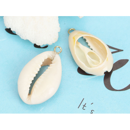 Acheter Pendentif véritable coquillage cauris - 25 mm - 0,49 € en ligne sur La Petite Epicerie - Loisirs créatifs
