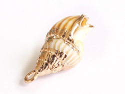 Acheter Pendentif véritable coquillage conque avec détails dorés - 23 mm - 2,99 € en ligne sur La Petite Epicerie - Loisirs c...