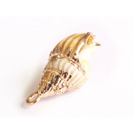 Acheter Pendentif véritable coquillage conque avec détails dorés - 23 mm - 2,99 € en ligne sur La Petite Epicerie - Loisirs c...