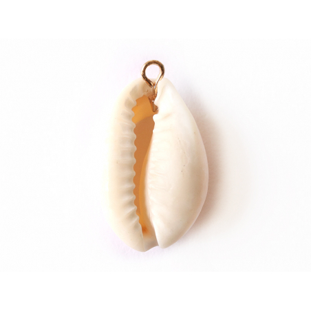 Acheter Pendentif véritable coquillage cauris - 25 mm - 0,49 € en ligne sur La Petite Epicerie - Loisirs créatifs