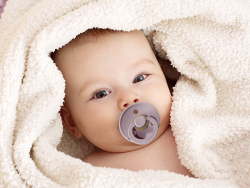 Acheter Tétine bibs - Taille 0-6 mois - Terracotta - 3,99 € en ligne sur La Petite Epicerie - Loisirs créatifs