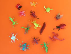 Acheter Tube de figurines Les insectes - Keycraft - 5,69 € en ligne sur La Petite Epicerie - Loisirs créatifs