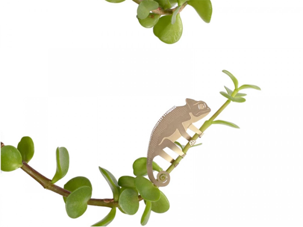 Acheter Bijou pour plantes - Caméléon - 7,99 € en ligne sur La Petite Epicerie - Loisirs créatifs