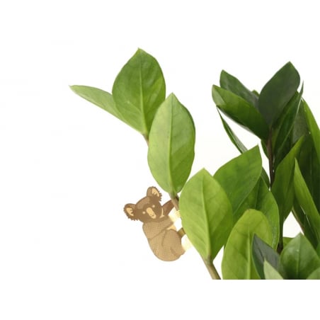 Acheter Bijou pour plantes - Koala - 7,99 € en ligne sur La Petite Epicerie - Loisirs créatifs