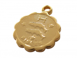 Acheter Médaille astro OR FIN - Poissons - 3,99 € en ligne sur La Petite Epicerie - Loisirs créatifs