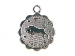 Acheter Médaille astro flash argent 925 - Taureau - 3,49 € en ligne sur La Petite Epicerie - Loisirs créatifs