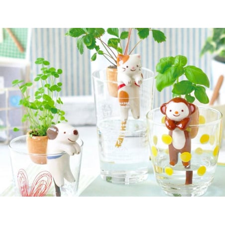 Acheter Kit pour faire pousser ta plante - singe dans un verre - basilic - 14,99 € en ligne sur La Petite Epicerie - Loisirs ...