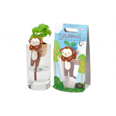 Acheter Kit pour faire pousser ta plante - singe dans un verre - basilic - 14,99 € en ligne sur La Petite Epicerie - Loisirs ...