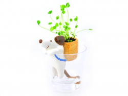 Acheter Kit pour faire pousser ta plante - chien dans un verre - trèfle - 14,99 € en ligne sur La Petite Epicerie - Loisirs c...