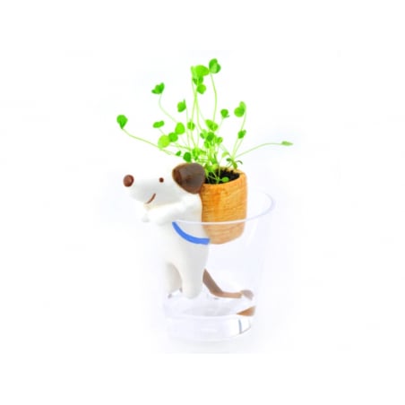 Acheter Kit pour faire pousser ta plante - chien dans un verre - trèfle - 14,99 € en ligne sur La Petite Epicerie - Loisirs c...