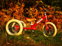 Acheter Draisienne 2 roues vintage rouge - Trybike - 99,00 € en ligne sur La Petite Epicerie - Loisirs créatifs