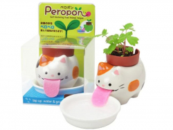Acheter Peropon - Chat - Fraises des bois - 13,99 € en ligne sur La Petite Epicerie - Loisirs créatifs