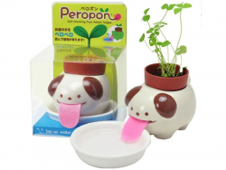 Acheter Peropon - Chien - Trèfles - 13,99 € en ligne sur La Petite Epicerie - Loisirs créatifs