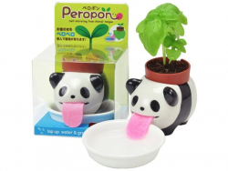 Acheter Peropon - Panda - Basilic - 13,99 € en ligne sur La Petite Epicerie - Loisirs créatifs