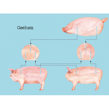 Acheter Coffret Construis en 3D Les animaux de la ferme - 10 modèles à assembler - 9,90 € en ligne sur La Petite Epicerie - L...