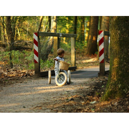 Draisienne Biky Retro Rose - De 2,5 à 5 Ans - Draisienne - Tricycle BUT