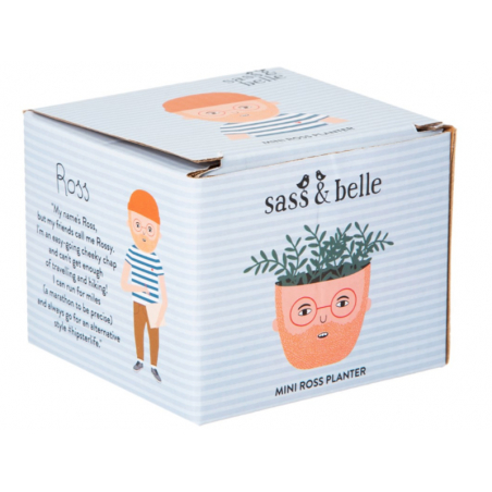 Acheter Petit pot à plante Terracotta - Mini Ross - 7,29 € en ligne sur La Petite Epicerie - Loisirs créatifs